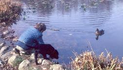 Don and Mischief by Princeton pond