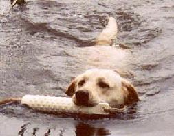 Widget retrieving from water