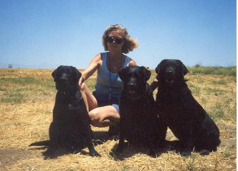 Kathy Judd and Briaryfield labradors at Raahauge's